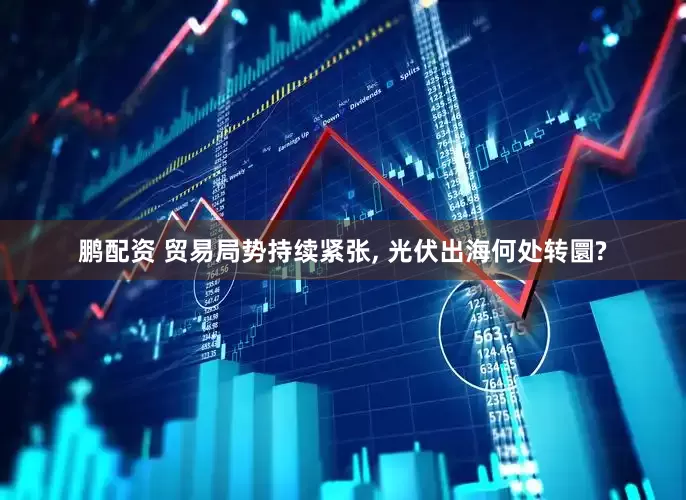 鹏配资 贸易局势持续紧张, 光伏出海何处转圜?