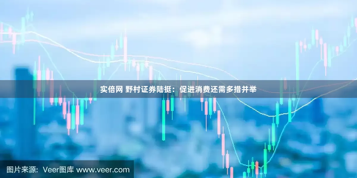 实倍网 野村证券陆挺：促进消费还需多措并举