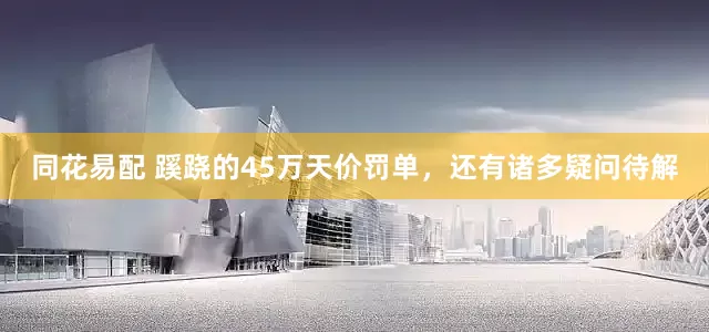 同花易配 蹊跷的45万天价罚单，还有诸多疑问待解