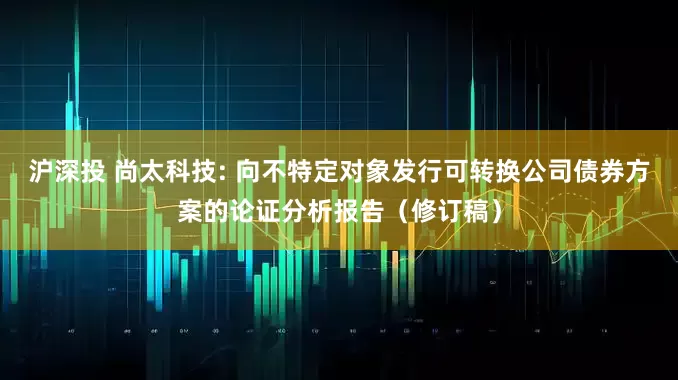 沪深投 尚太科技: 向不特定对象发行可转换公司债券方案的论证分析报告（修订稿）