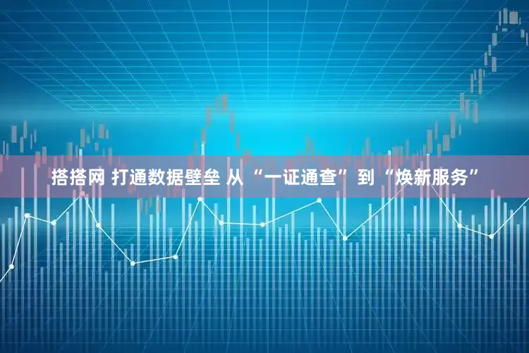 搭搭网 打通数据壁垒 从 “一证通查” 到 “焕新服务”