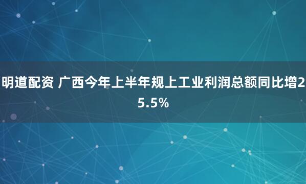 明道配资 广西今年上半年规上工业利润总额同比增25.5%